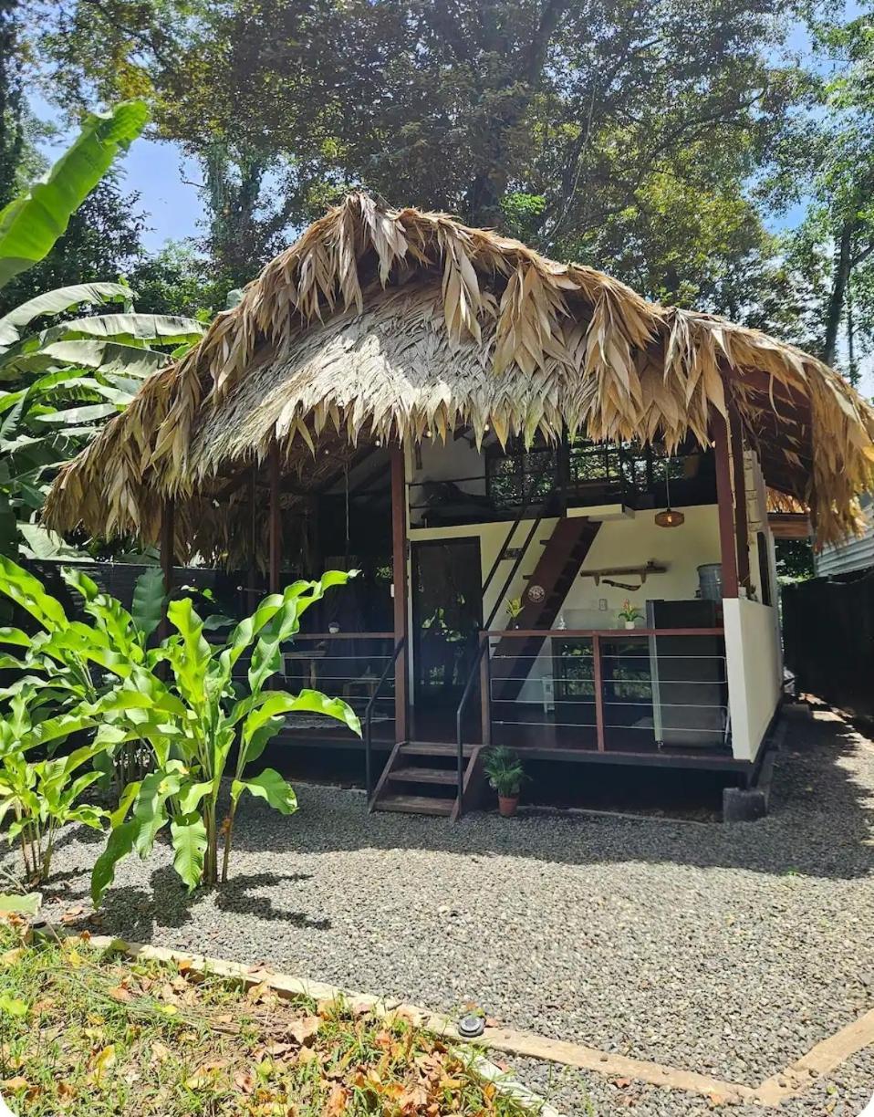 Evolution House Jungle Oasis Villa Hone Creek Exterior photo