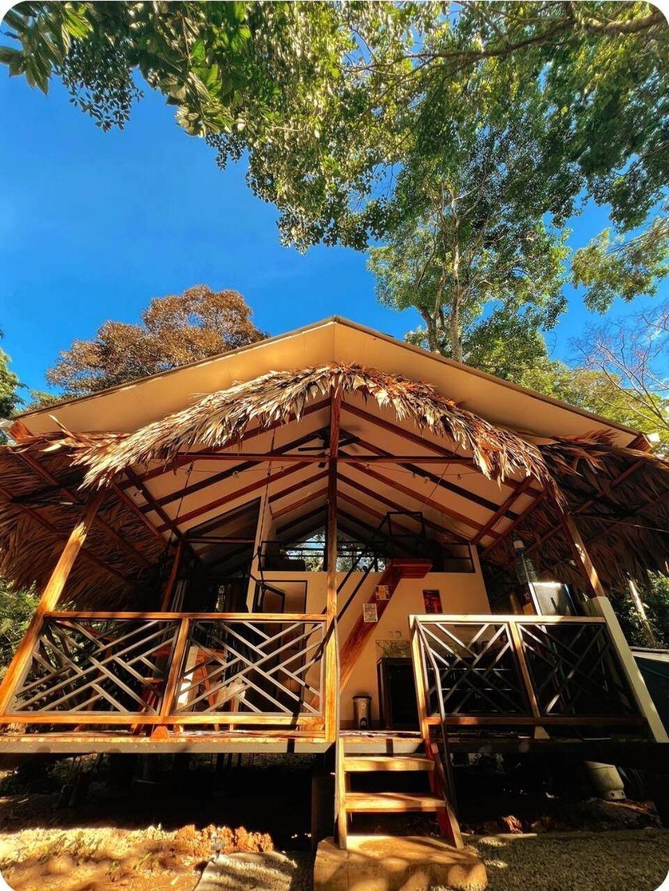 Evolution House Jungle Oasis Villa Hone Creek Exterior photo