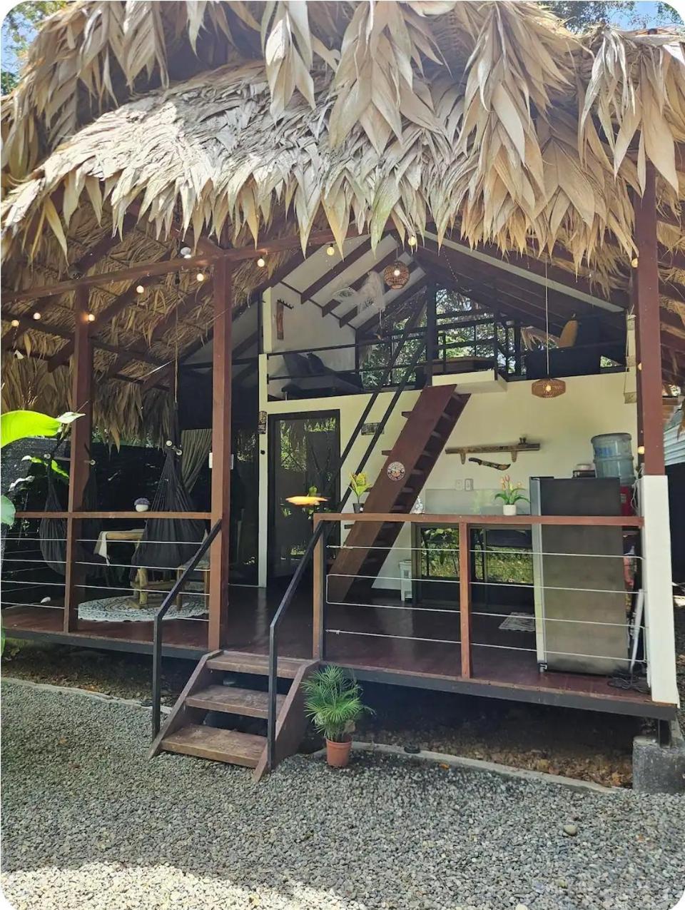 Evolution House Jungle Oasis Villa Hone Creek Exterior photo
